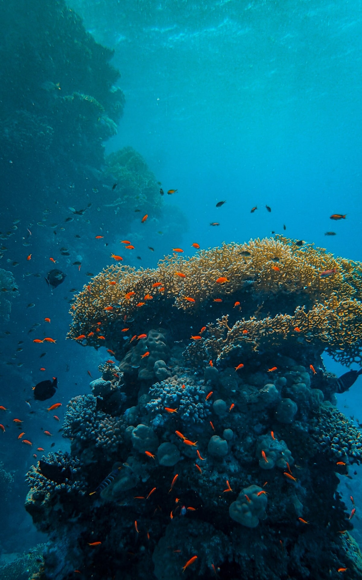 What is B2B digital marketing? An essential guide to key concepts.